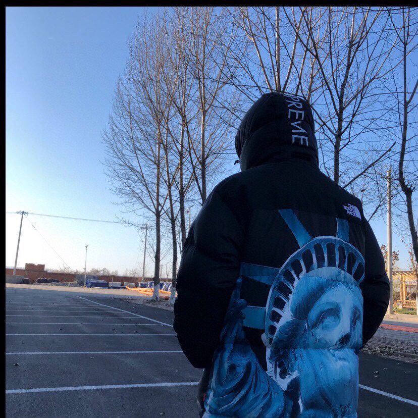 SUPRME X TNF STATUE OF LIBERTY JOINT DOWN JACKET