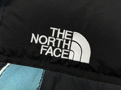 SUPRME X TNF STATUE OF LIBERTY JOINT DOWN JACKET